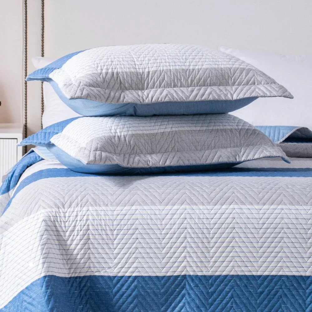 Queen - Soft & Cozy Blue and White Quilt Set